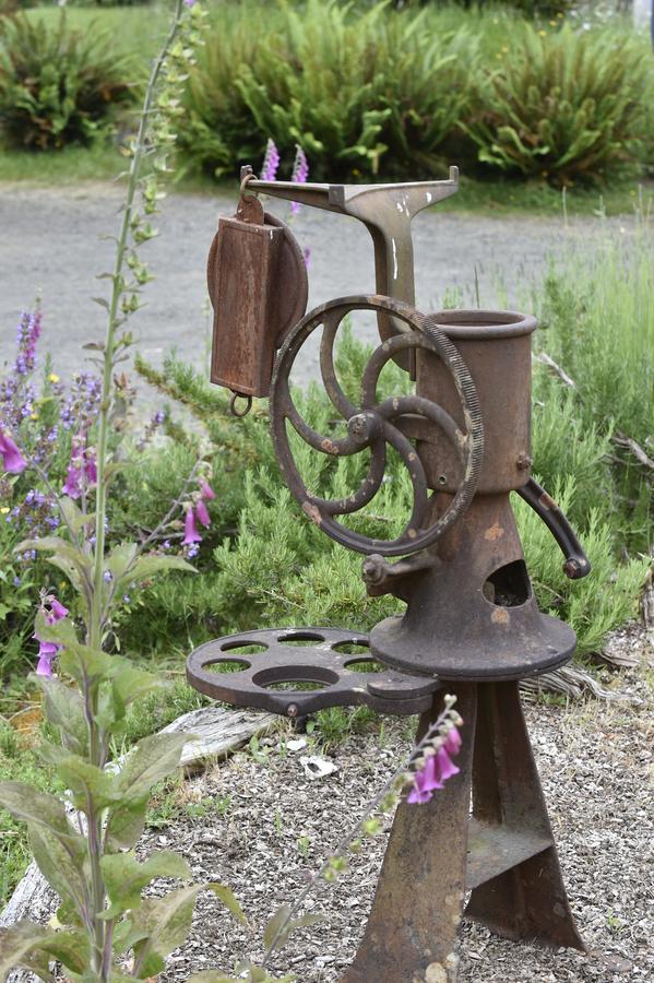 Lucky Mud Inn And Disc Golf Resort Skamokawa Esterno foto